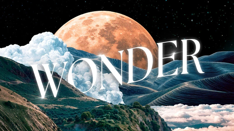 Wonder